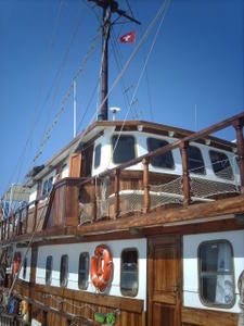 Picture-005-copie-8.jpg