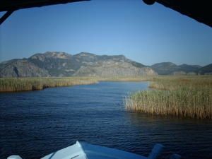 Picture-008-copie-3.jpg