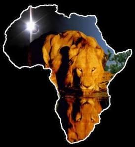 Lion-of-Africa.jpg