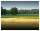 acampagne.jpg