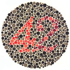 aetesvous-daltoniF.jpg