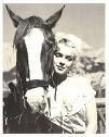 marylin2.jpg