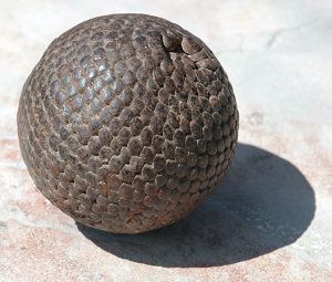 petanque.jpg