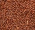 pralines.jpg