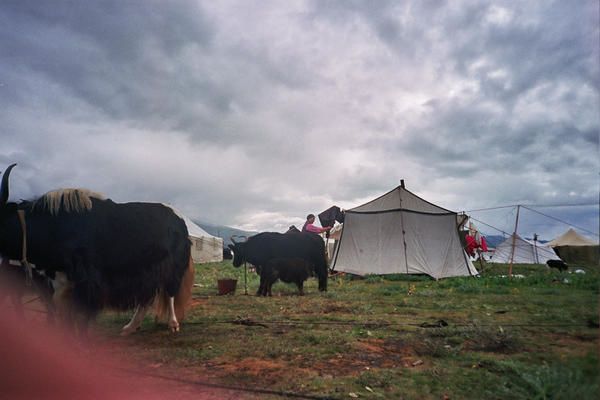 00A_1131.jpg