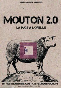 mouton-2.00.jpg