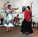 Flamenco-003.jpg