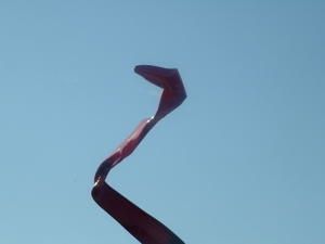 the snake