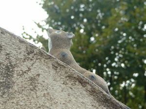 rencontre--2-.JPG