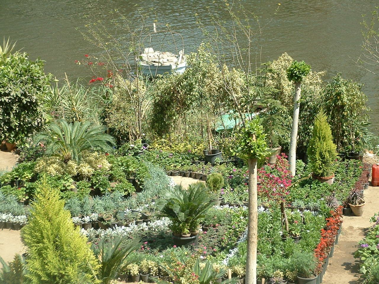 Jardin le long du Nil qui caresse l'île de Rhoda