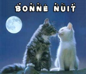 bonne_nuit_joliecarte1.jpg