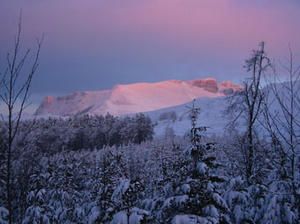 vercors-neige-2-mars-04--47-copie-2.jpg