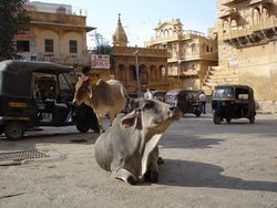 Jaisalmer-copie-1.jpg