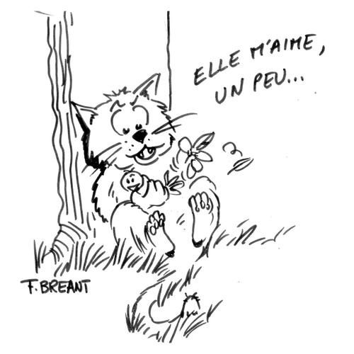 chat-elle-m-aime-copie.jpg