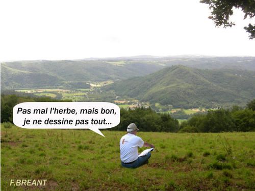 herbe-copie.jpg