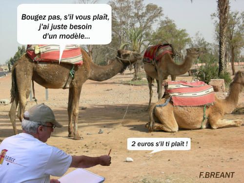 pierre-copie.jpg