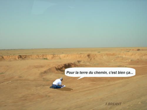 terre-copie.jpg