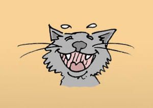 tete-du-chat.jpg