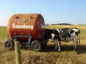 lait-breton.jpg