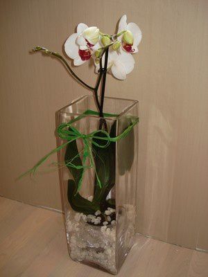 Arrangement-orchid--e.jpg