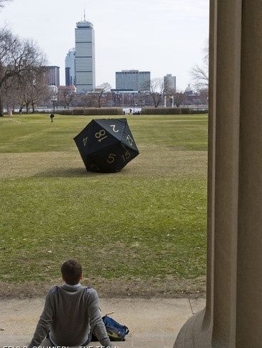 d20bis