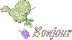 bonjour-copie-1.gif