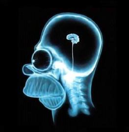 cerveau-omer.jpg