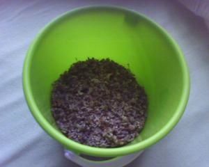 20070705-002.jpg
