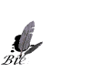 bienvenue003.gif