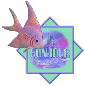 bonjour19.gif