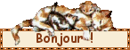 chat27.gif