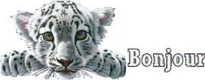 e7oowmtd-copie-1.gif