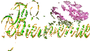 ofzi32zj.gif