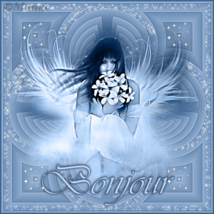 0801240741432138222-copie-1.gif