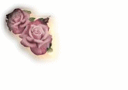bonjour332.gif