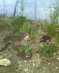 20071005-002.jpg