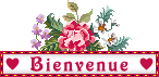 blinkies-bienvenue26.gif