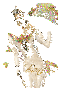 bonjour5.gif