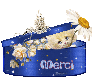 merci9.gif