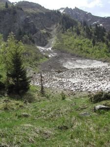 DSCN7887.jpg