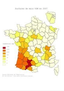 carte-des-surfaces-OGM.jpg