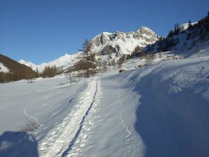 trail-blanc1.jpg