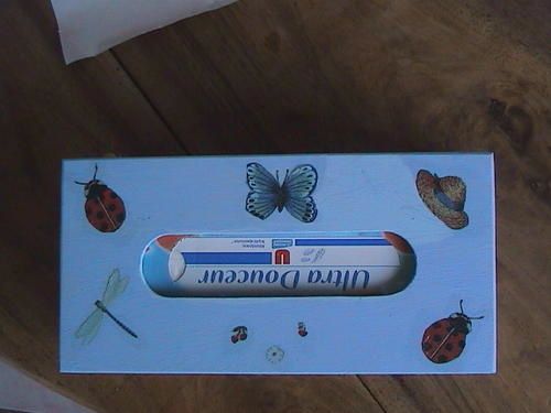 Boites----mouchoirs-pour-marraines-003.jpg