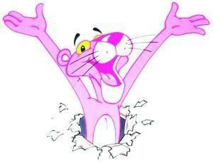 PinkPanther-300-1006.jpg
