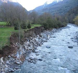 gave-de-pau.jpg