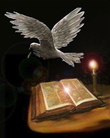 bible-colombe-3.jpg