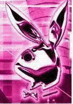 untitled.jpg