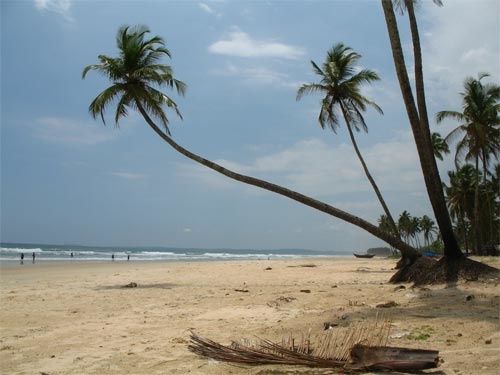 IMG-1981.jpg