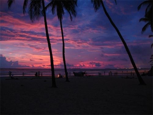 IMG-1984.jpg