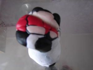puca-011.jpg